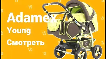 Adamex Young коляска трансформер, видео отзыв