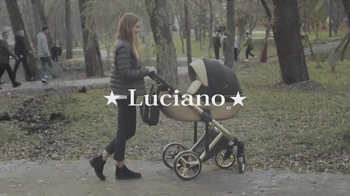 Adamex Luciano коляска для новорожденных 2 в 1