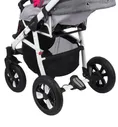 Коляска 2 в 1 Adamex Neonex - GL000431765